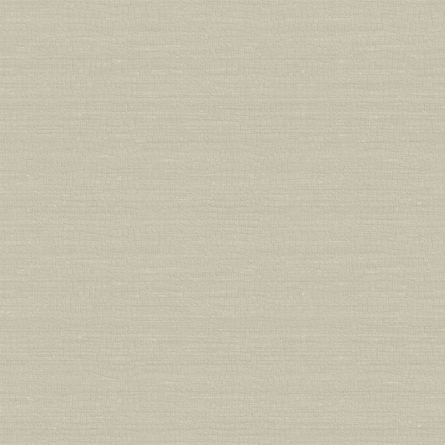 Armani TROCADERO 9256 in Beige Wallpaper - Refined Structure