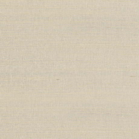 Armani RAFIA PLAIN 9363 in Flax Wallpaper - Graphic Elements