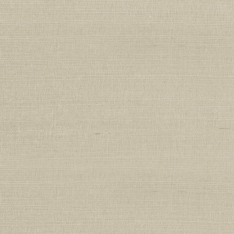 Armani RAFIA PLAIN 9364 in Taupe Wallpaper - Graphic Element
