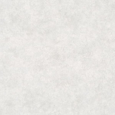 Galerie AI95021 Silver Grey Clay - Eade's Wallpaper