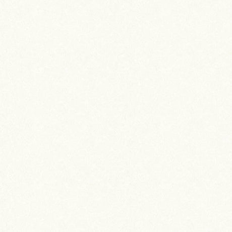 Galerie AI95065 White Floral - Eade's Wallpaper