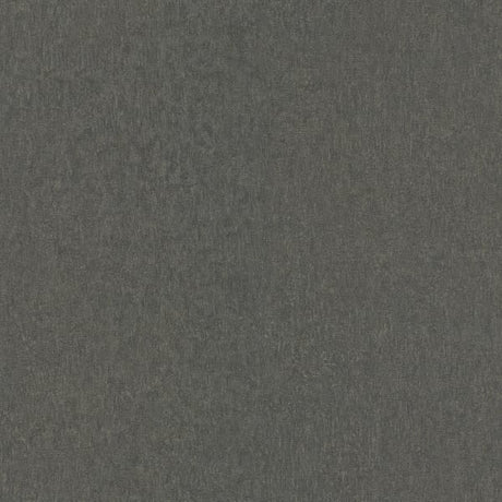 Galerie AI95073 Black Scratch - Eade's Wallpaper