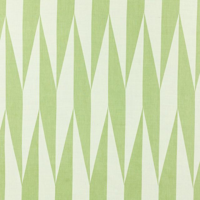 Schumacher 955V70 JAKO in GECKO Fabric - RAOUL TEXTILES