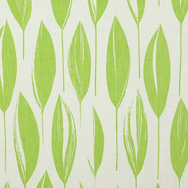 Schumacher 956B60 VARIEGATA in LAWN Fabric - RAOUL TEXTILES