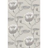COLE & SON 95/4025.CS.0 SUMMER LILY TAUPE/WHITE Wallpaper - Eade's Wallpaper