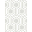 COLE & SON 95/6036.CS.0 HICKS GRAND DOVE GREY Wallpaper - Eade's Wallpaper