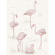 COLE & SON 95/8045.CS.0 FLAMINGOS PINK/WHITE Wallpaper - Eade's Wallpaper