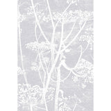 COLE & SON 95/9049.CS.0 COW PARSLEY LILAC Wallpaper - Eade's Wallpaper