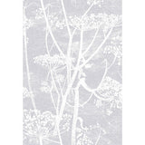 COLE & SON 95/9049.CS.0 COW PARSLEY LILAC Wallpaper - Eade's Wallpaper