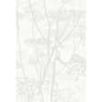COLE & SON 95/9052.CS.0 COW PARSLEY WHITE Wallpaper - Eade's Wallpaper