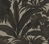 Versace 962401X Wallpaper - Eade's Wallpaper & Fabric