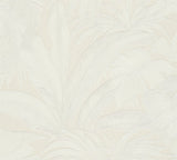 Versace 962402X Wallpaper - Eade's Wallpaper & Fabric