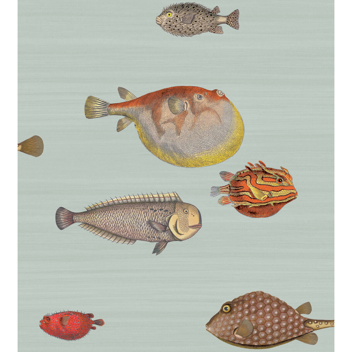 COLE & SON 97/10030.CS.0 ACQUARIO PRINT ROOM BLUE Wallpaper - Eade's Wallpaper