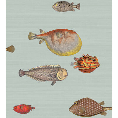 COLE & SON 97/10030.CS.0 ACQUARIO PRINT ROOM BLUE Wallpaper - Eade's Wallpaper