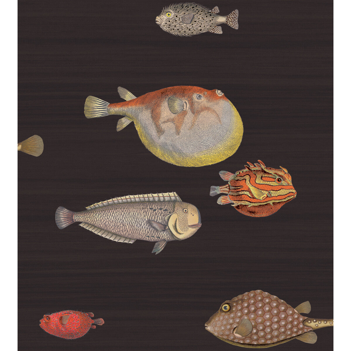 COLE & SON 97/10048.CS.0 ACQUARIO BLACK & MULTI Wallpaper - Eade's Wallpaper