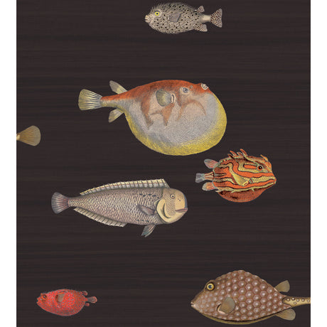 COLE & SON 97/10048.CS.0 ACQUARIO BLACK & MULTI Wallpaper - Eade's Wallpaper