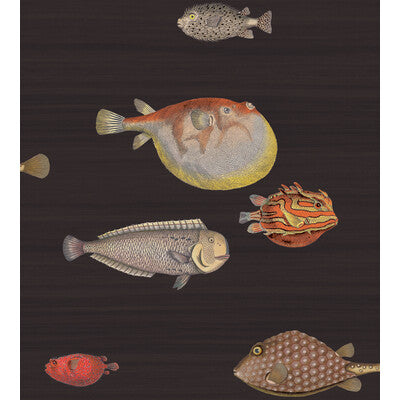 COLE & SON 97/10048.CS.0 ACQUARIO BLACK & MULTI Wallpaper - Eade's Wallpaper