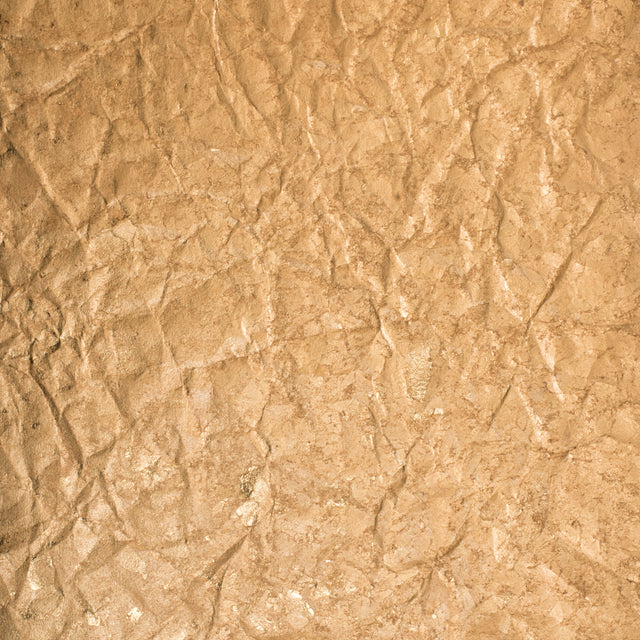 JF Studio 18-WF9231 980009 Wallcovering - Eade's Wallpaper & Fabric