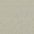 Armani DICKINSON MURAL 9914 in Neutral Mural - INSPIRED MOOD