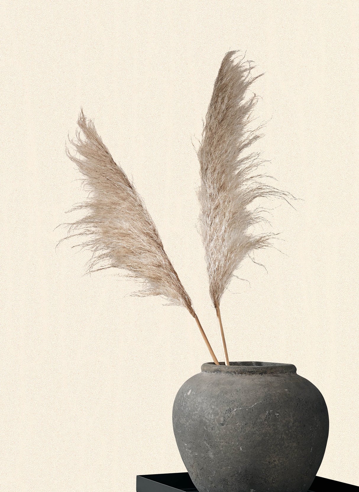 Eade's EA99142-sample Beige