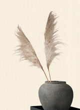 Eade's EA99142-sample Beige