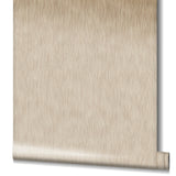 Eade's EA99149-sample Beige