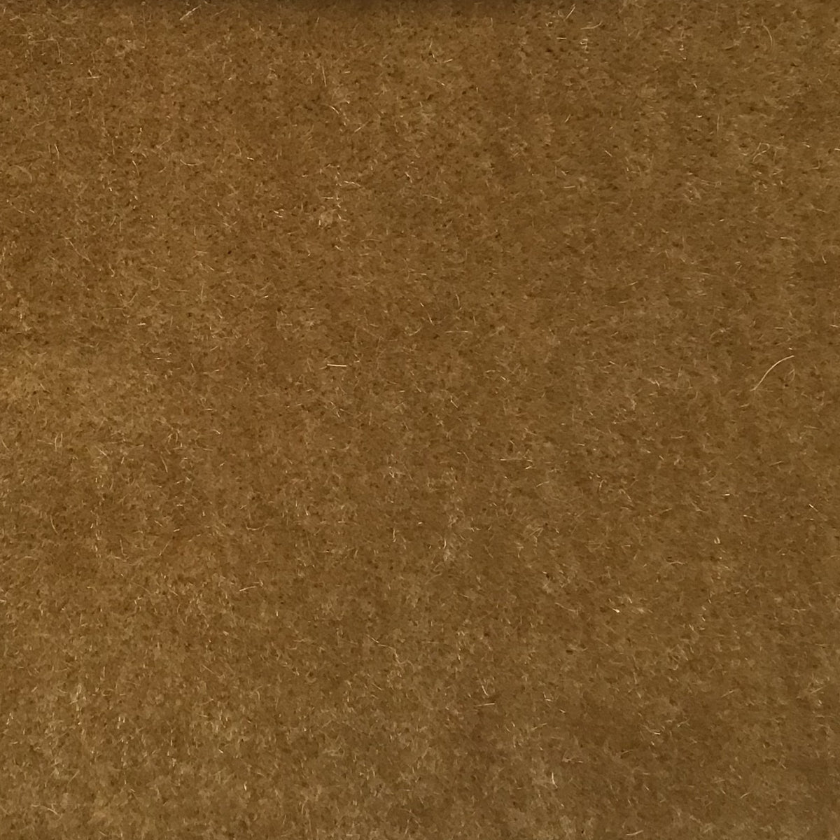 Schumacher Hospitality Presidential Mohair Camel Fabric
