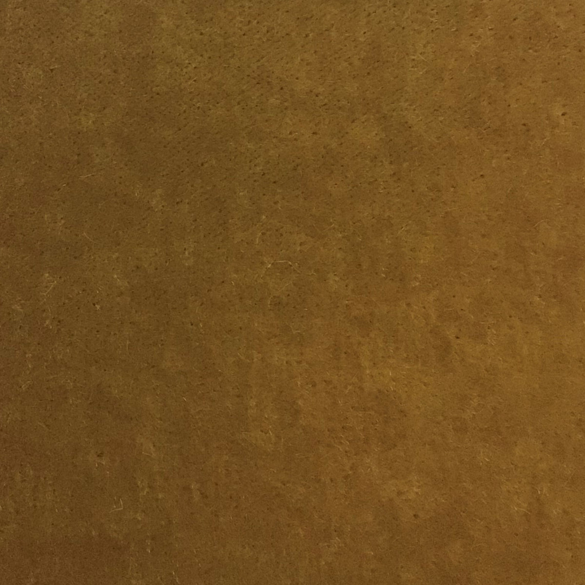 Schumacher Hospitality Presidential Mohair Golden Eye Fabric