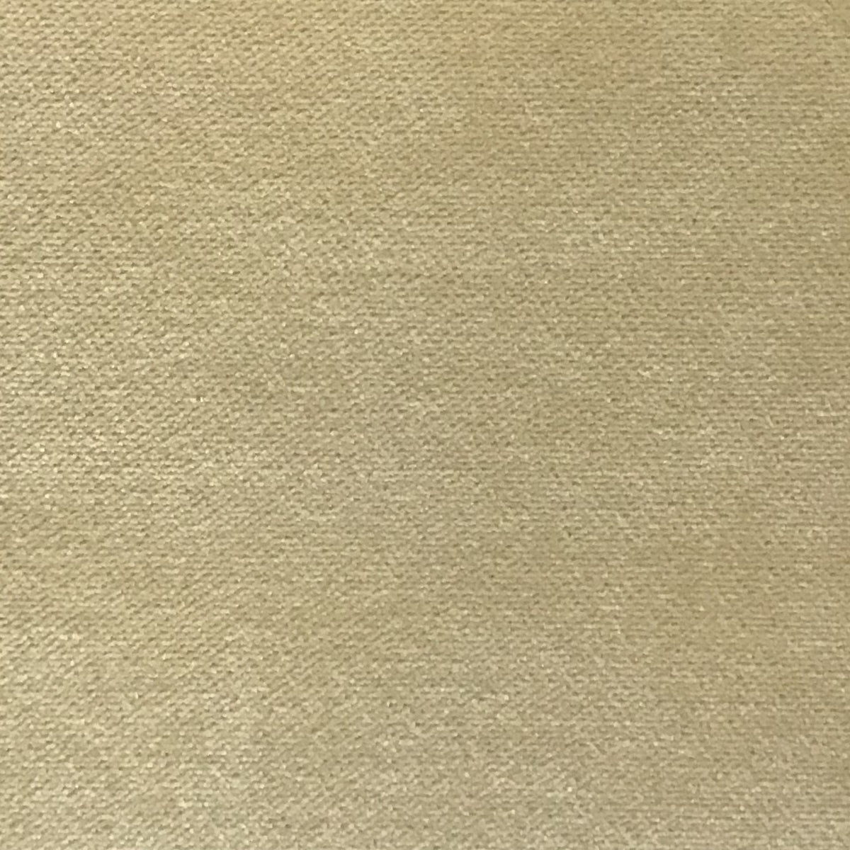 Schumacher Hospitality Olympic Velvet Butter Fabric