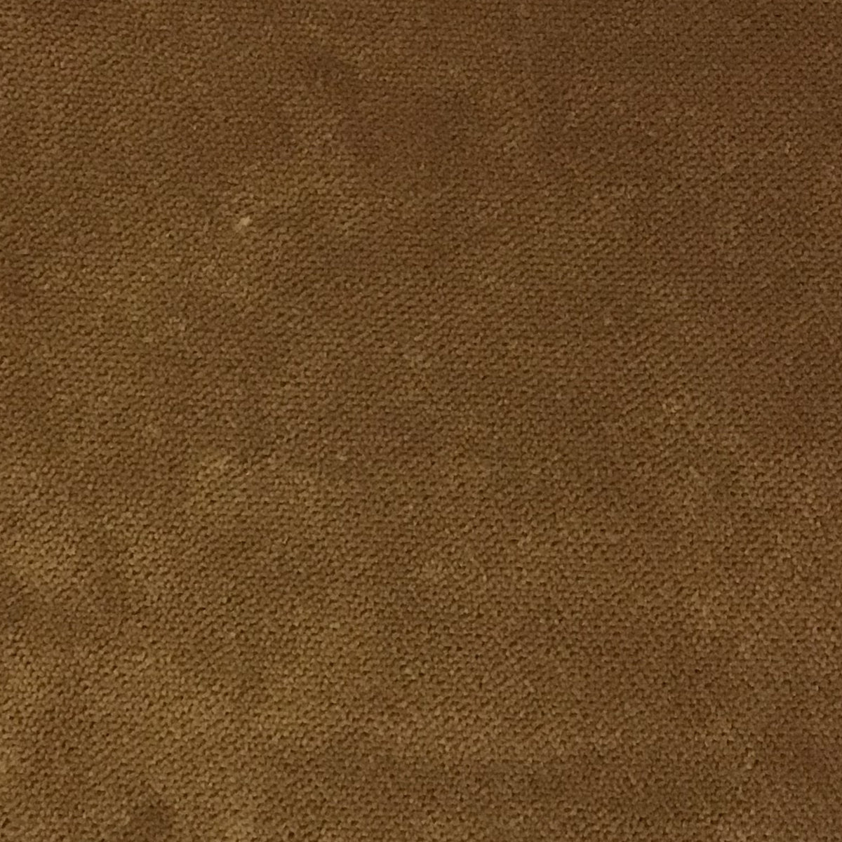 Schumacher Hospitality Olympic Velvet Honey Fabric