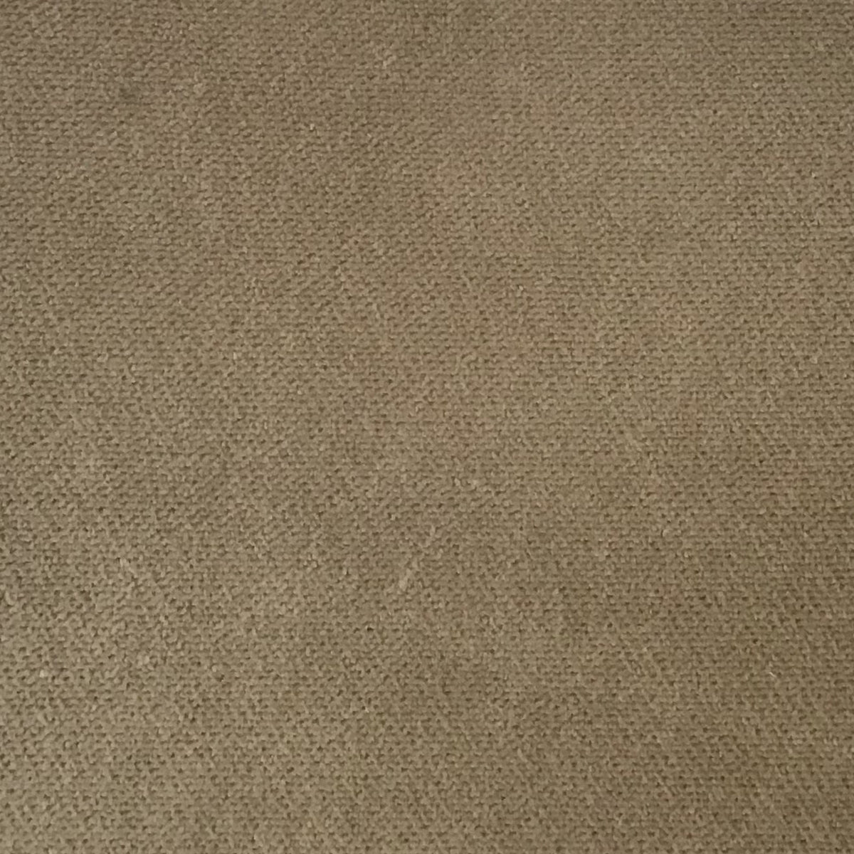 Schumacher Hospitality Olympic Velvet Taupe Fabric