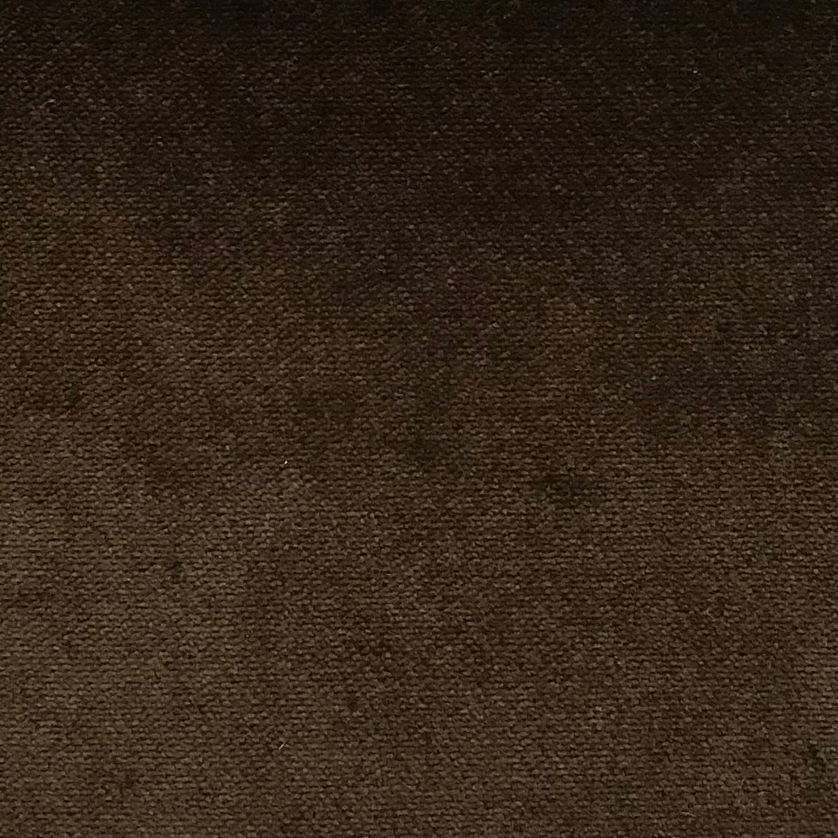Schumacher Hospitality Olympic Velvet Toffee Fabric