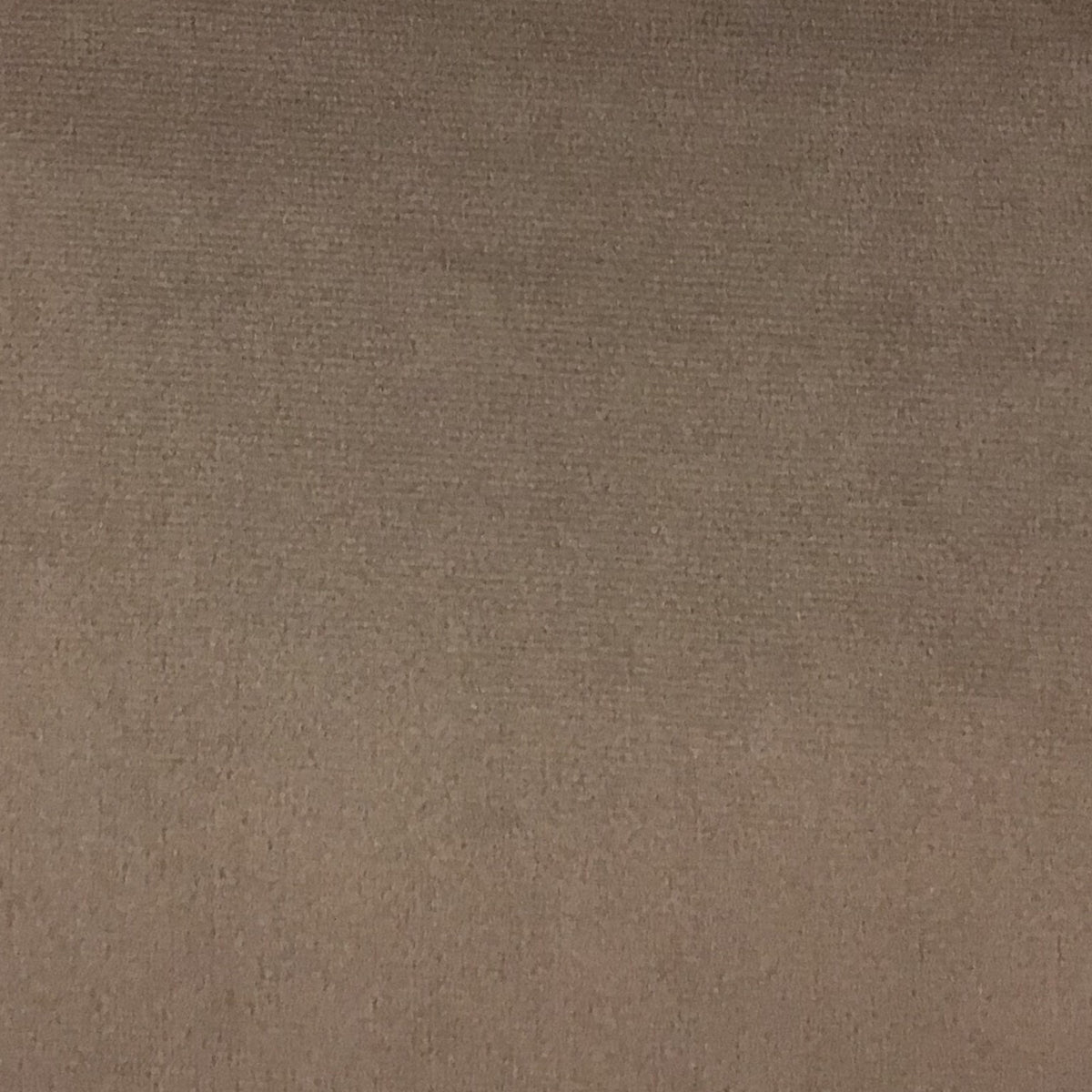 Schumacher Hospitality Venus Velvet Viola Fabric