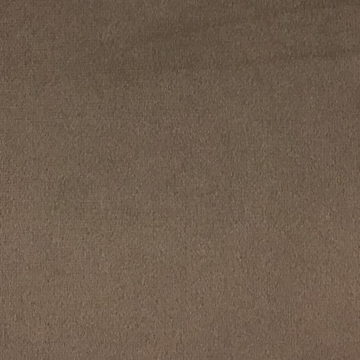 Schumacher Hospitality Venus Velvet Taupe Fabric