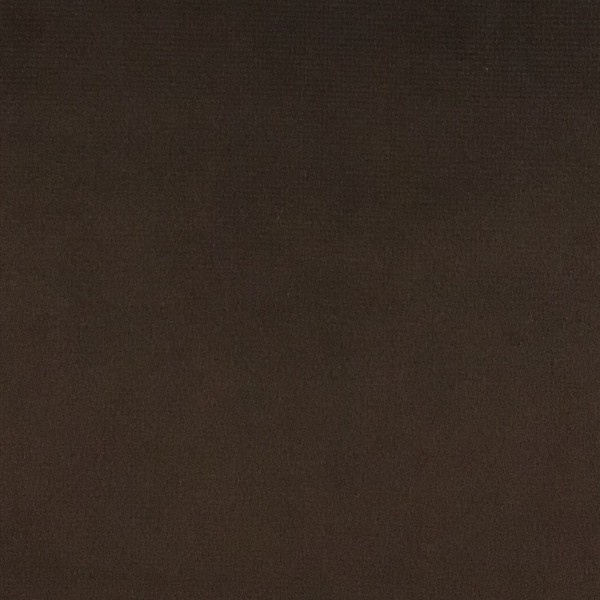 Schumacher Hospitality Venus Velvet Coco Fabric