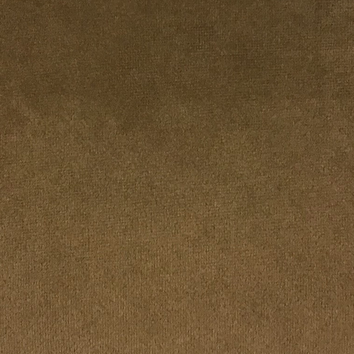 Schumacher Hospitality Venus Velvet Oat Fabric