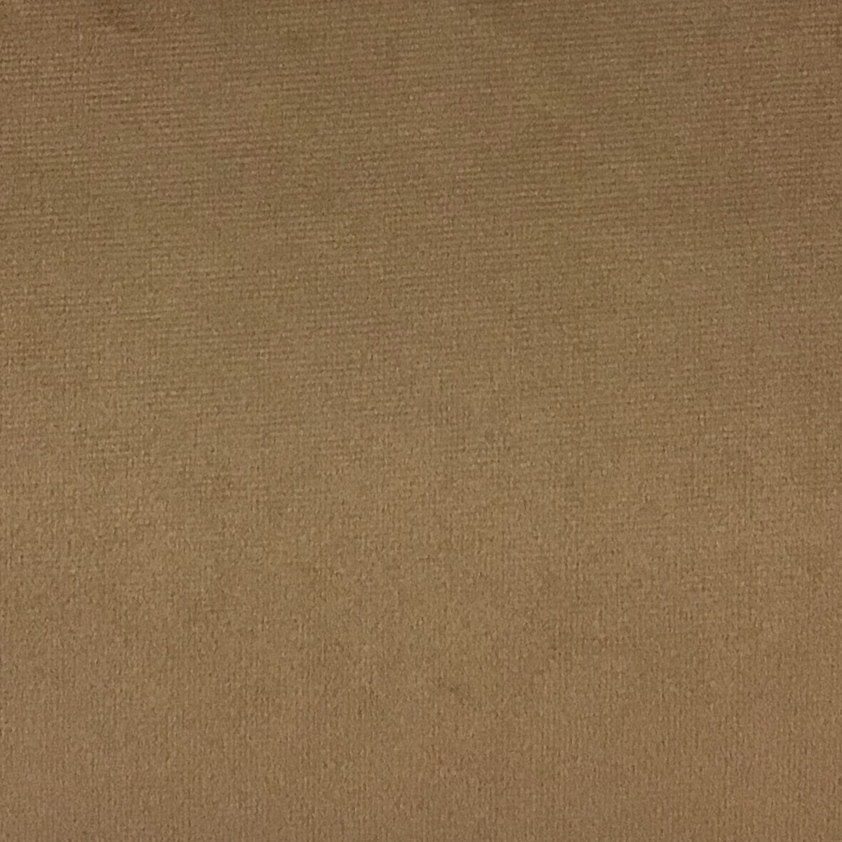 Schumacher Hospitality Venus Velvet Wheat Fabric