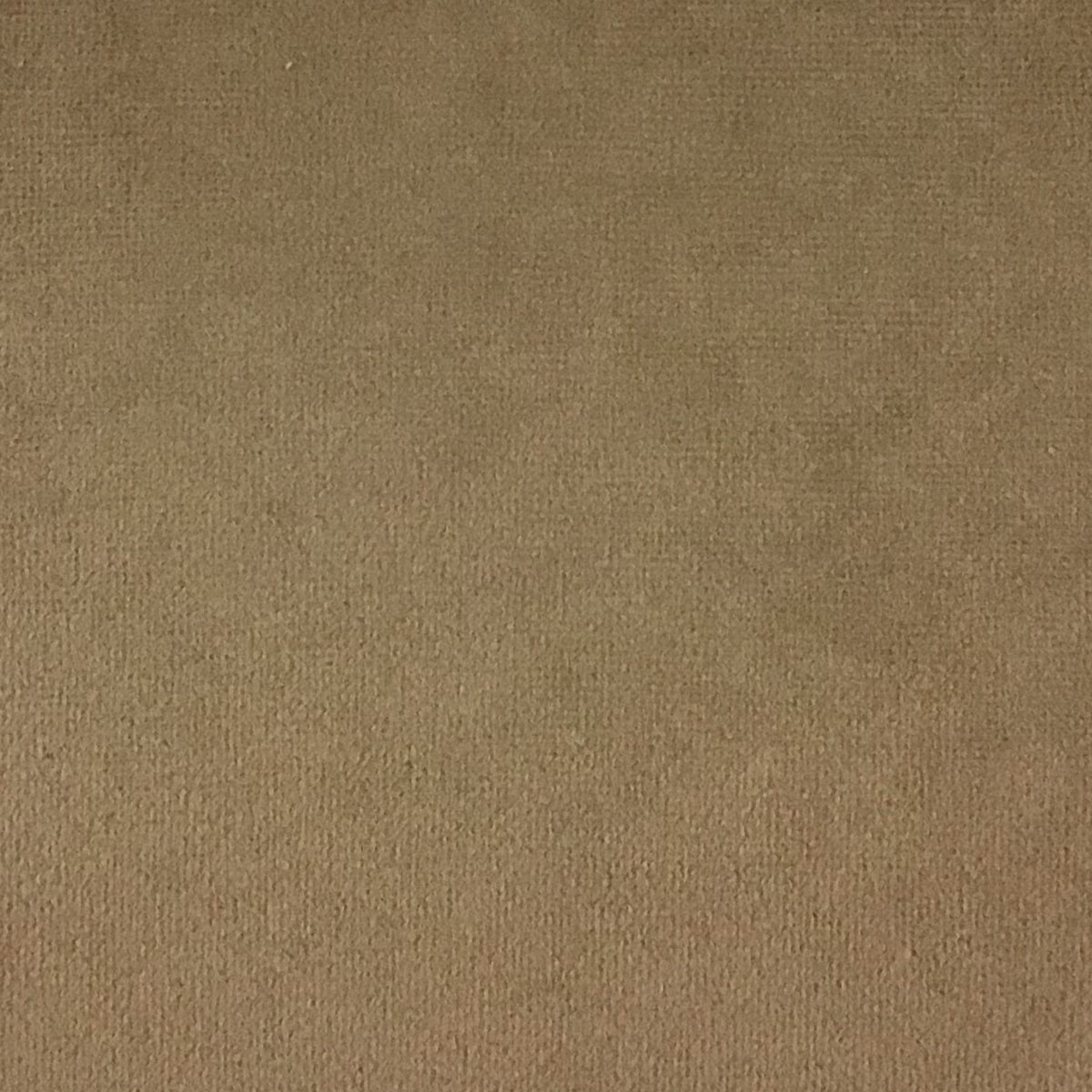 Schumacher Hospitality Venus Velvet Neutral Fabric