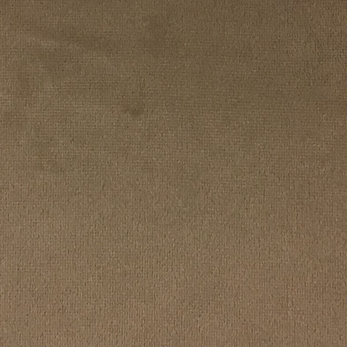 Schumacher Hospitality Venus Velvet Bliss Fabric