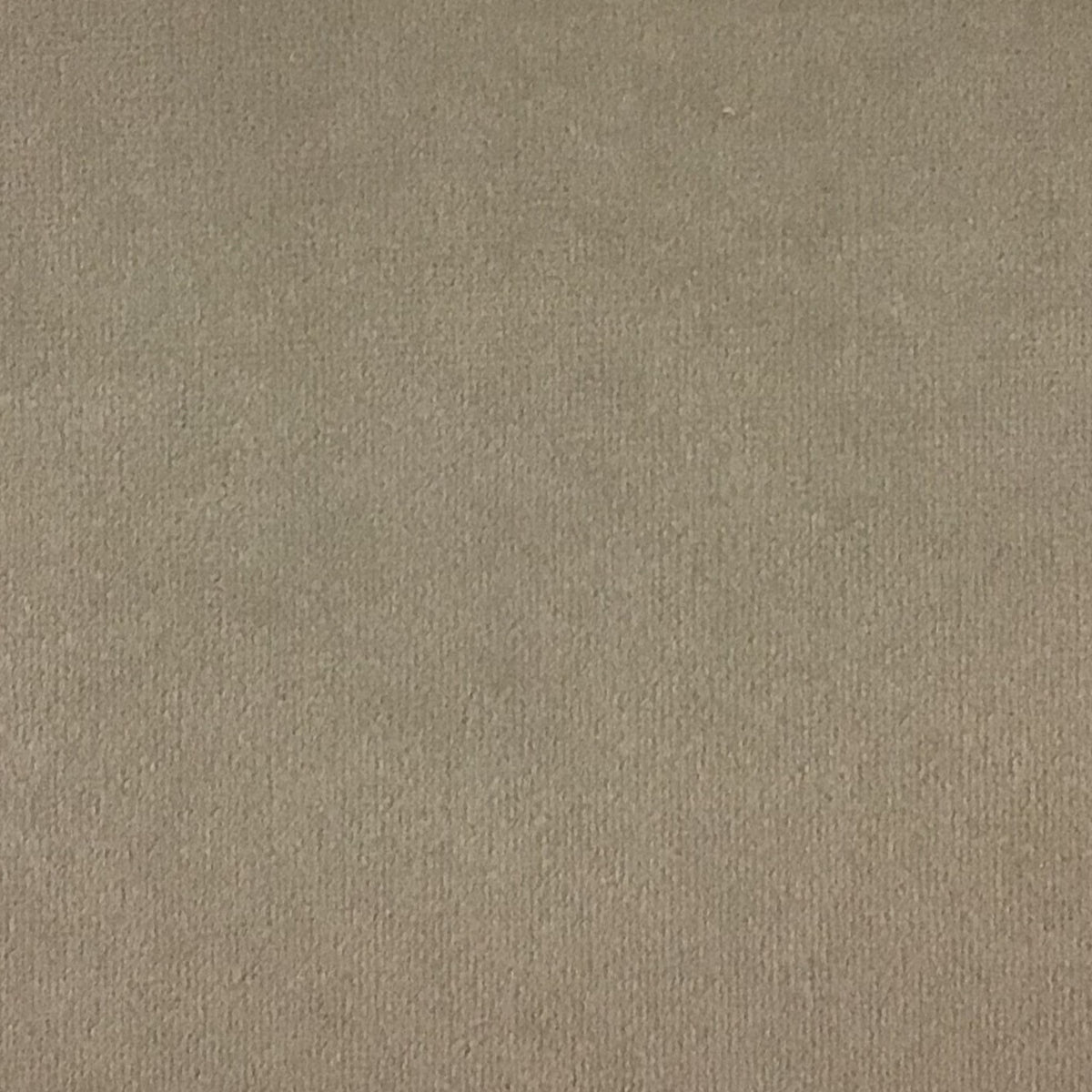 Schumacher Hospitality Venus Velvet Honey Fabric