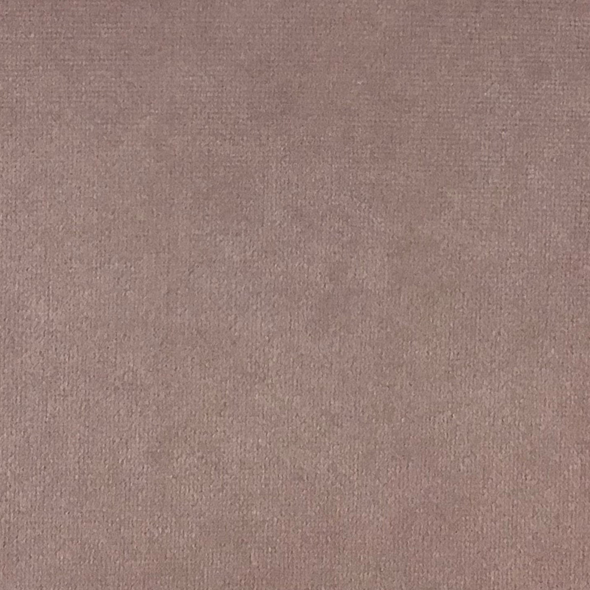 Schumacher Hospitality Venus Velvet Blush Fabric