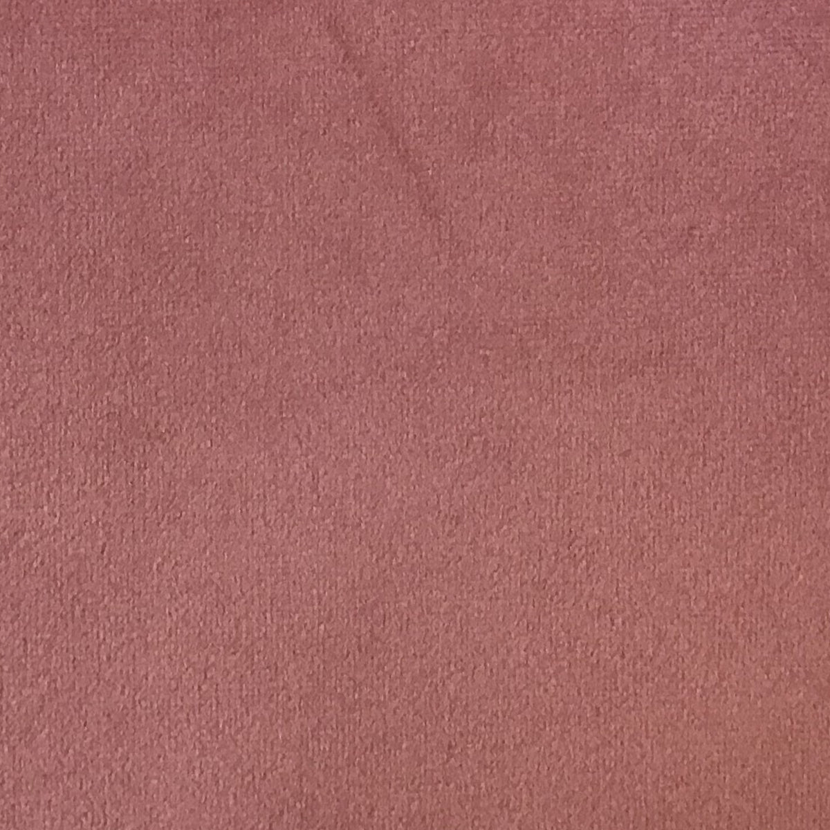 Schumacher Hospitality Venus Velvet Charm Fabric