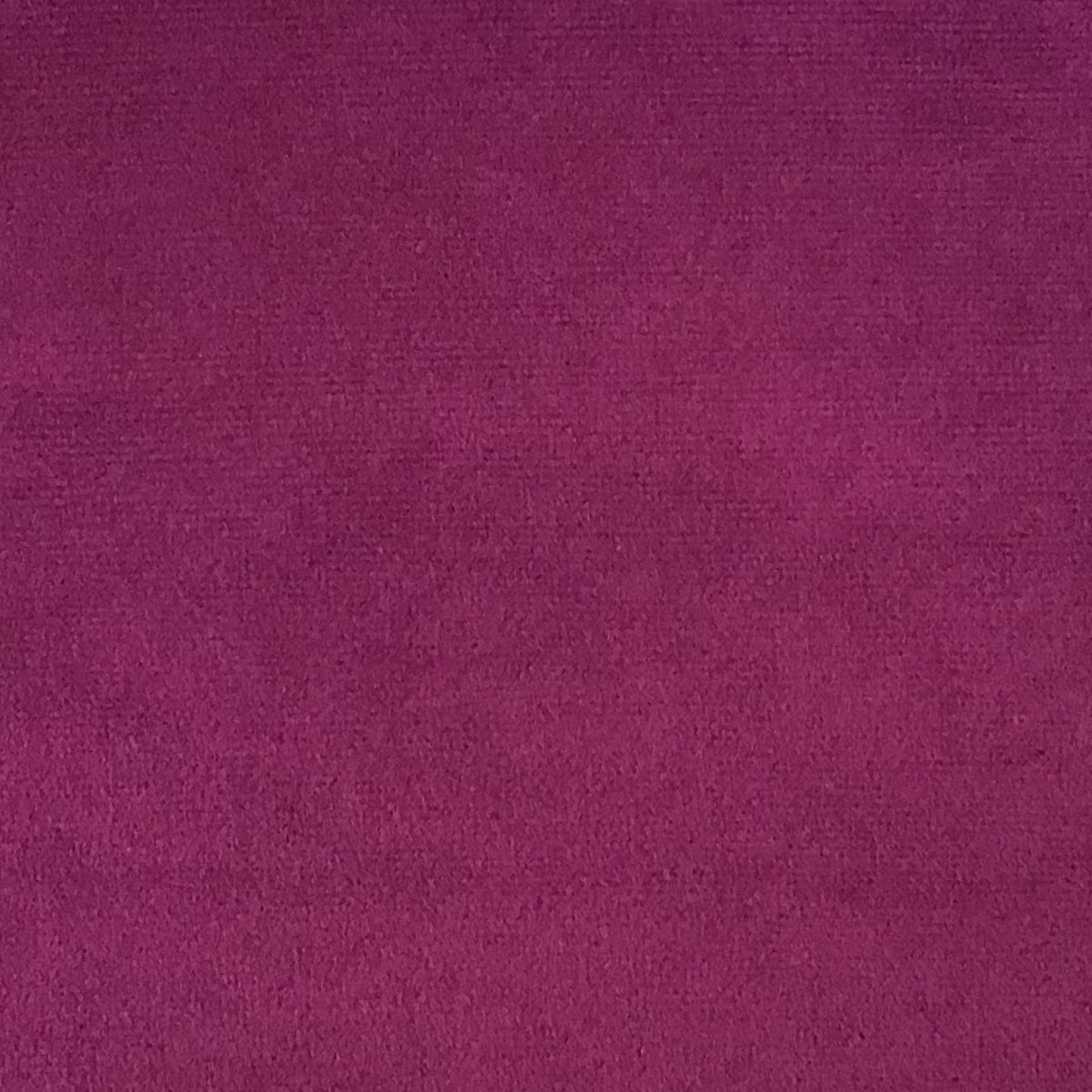Schumacher Hospitality Venus Velvet Raspberry Fabric