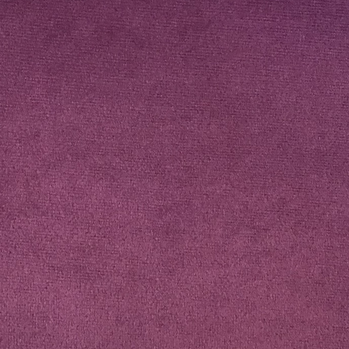 Schumacher Hospitality Venus Velvet Haze Fabric