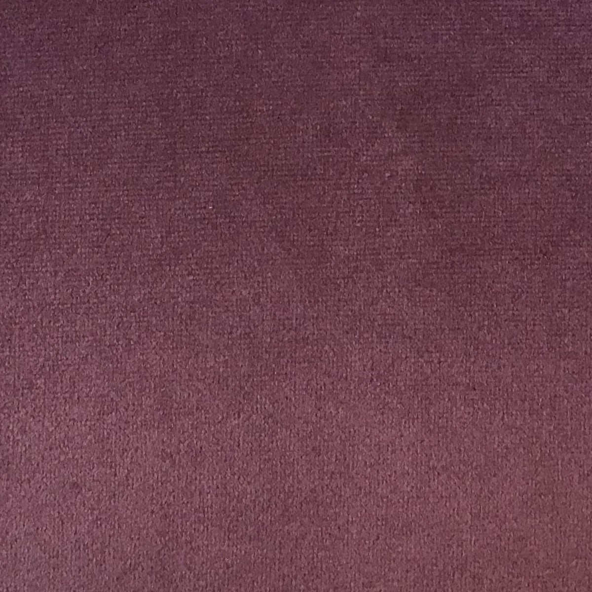 Schumacher Hospitality Venus Velvet Purple Fabric
