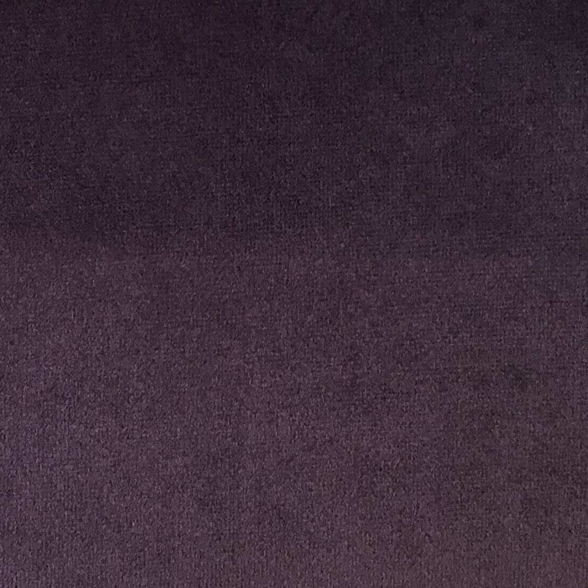 Schumacher Hospitality Venus Velvet Deha Fabric