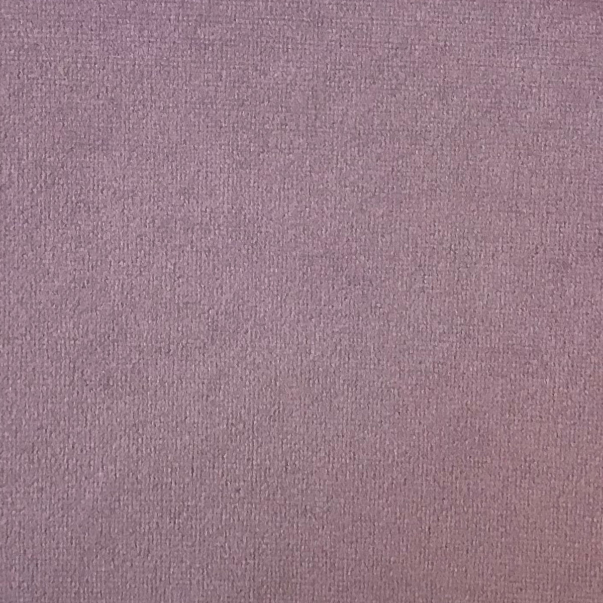 Schumacher Hospitality Venus Velvet Lili Fabric