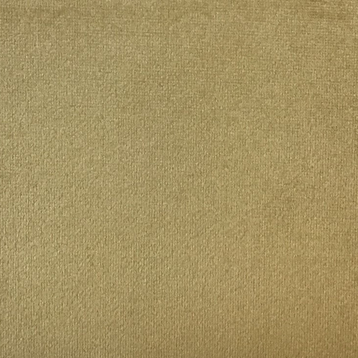 Schumacher Hospitality Venus Velvet Gold Fabric