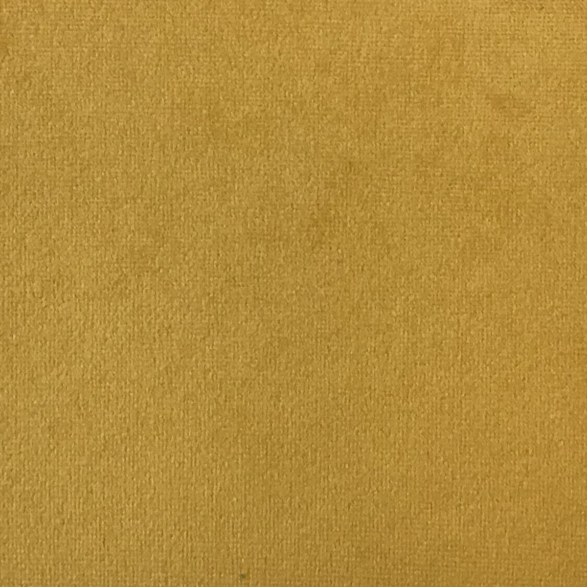 Schumacher Hospitality Venus Velvet Sun Fabric