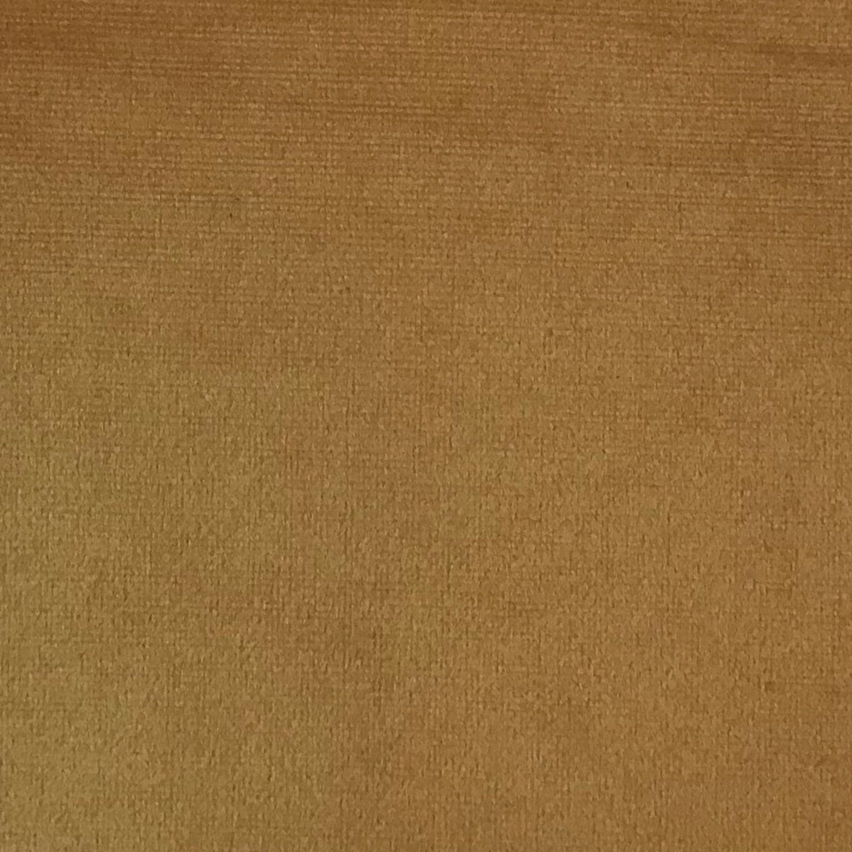 Schumacher Hospitality Venus Velvet Apricot Fabric